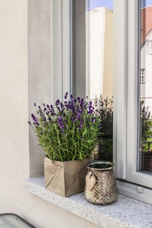 Apartamento Weinquartier Naumburg Naumburg  Exterior foto